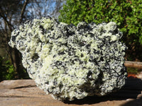 Natural Extra Large Schorl Black Tourmaline Specimen With Vermiculite  x 1 From Erongo, Namibia - Toprock Gemstones and Minerals 