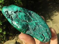 Polished Malachite Free Forms With Stunning Flower & Banding Patterns x 3 From Congo - TopRock