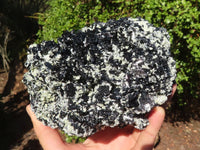 Natural Extra Large Schorl Black Tourmaline Specimen With Vermiculite  x 1 From Erongo, Namibia - Toprock Gemstones and Minerals 