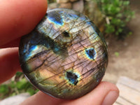 Polished Mini Labradorite Palm Stones  x 20 From Tulear, Madagascar - Toprock Gemstones and Minerals 