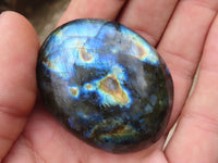 Polished Mini Labradorite Palm Stones  x 20 From Tulear, Madagascar - Toprock Gemstones and Minerals 