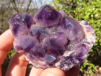 Natural Dark Amethyst Crystal Clusters x 12 From Zambia