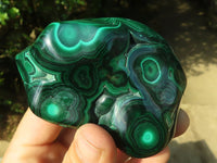 Polished Malachite Free Forms With Stunning Flower & Banding Patterns x 3 From Congo - TopRock