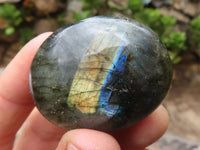 Polished Mini Labradorite Palm Stones  x 20 From Tulear, Madagascar - Toprock Gemstones and Minerals 