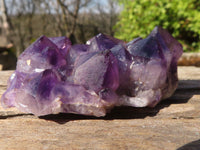 Natural Dark Amethyst Crystal Clusters x 12 From Zambia