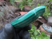 Polished Small Malachite Free Forms With Nice Flower & Banding Patterns x 12 From Congo - TopRock