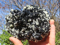 Natural Extra Large Schorl Black Tourmaline Specimen With Vermiculite  x 1 From Erongo, Namibia - Toprock Gemstones and Minerals 