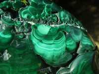 Polished Malachite Free Forms With Stunning Flower & Banding Patterns x 3 From Congo - TopRock