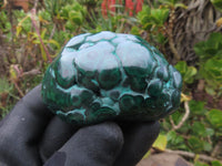 Polished Small Malachite Free Forms With Nice Flower & Banding Patterns x 12 From Congo - TopRock