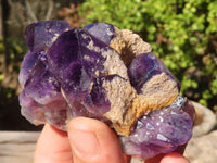 Natural Dark Amethyst Crystal Clusters x 12 From Zambia