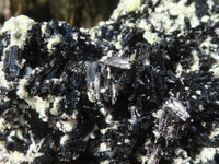 Natural Extra Large Schorl Black Tourmaline Specimen With Vermiculite  x 1 From Erongo, Namibia - Toprock Gemstones and Minerals 