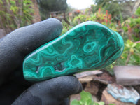 Polished Small Malachite Free Forms With Nice Flower & Banding Patterns x 12 From Congo - TopRock