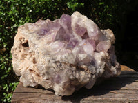 Natural Large Jacaranda Amethyst Crystal Cluster  x 1 From Mumbwa, Zambia - TopRock