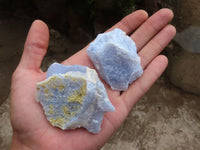 Natural Etched Blue Chalcedony Specimens  x 12 From Malawi - Toprock Gemstones and Minerals 