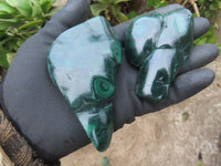 Polished Small Malachite Free Forms With Nice Flower & Banding Patterns x 12 From Congo - TopRock