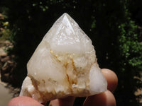 Natural Pineapple Candle Quartz Crystals x 18 From Madagascar - TopRock