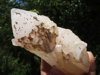 Natural Pineapple Candle Quartz Crystals x 18 From Madagascar - TopRock