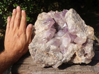 Natural Large Jacaranda Amethyst Crystal Cluster  x 1 From Mumbwa, Zambia - TopRock