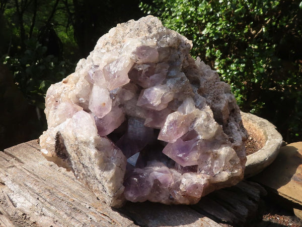 Natural Large Jacaranda Amethyst Crystal Cluster  x 1 From Mumbwa, Zambia - TopRock