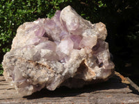 Natural Large Jacaranda Amethyst Crystal Cluster  x 1 From Mumbwa, Zambia - TopRock