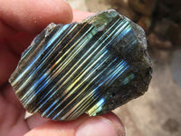 Polished One Side Polished Labradorite Slabs  x 35 From Madagascar - TopRock