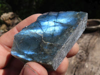 Polished One Side Polished Labradorite Slabs  x 35 From Madagascar - TopRock