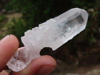 Natural Single Clear Quartz Crystals  x 35 From Mpika, Zambia - Toprock Gemstones and Minerals 