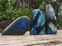 Polished Flashy Labradorite Standing Free Forms  x 3 From Tulear, Madagascar - Toprock Gemstones and Minerals 