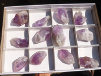 Natural Single Jacaranda Amethyst Crystals  x 12 From Mumbwe, Zambia - Toprock Gemstones and Minerals 