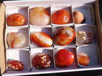 Polished Carnelian Agate Palm Stones  x 12 From Madagascar - Toprock Gemstones and Minerals 