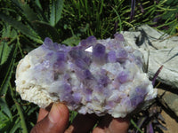 Natural Amethyst Quartz Clusters x 6 From Mapatizya, Zambia - TopRock