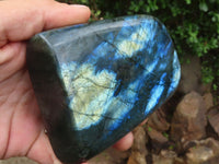 Polished Flashy Labradorite Standing Free Forms  x 3 From Tulear, Madagascar - Toprock Gemstones and Minerals 