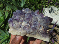 Natural Amethyst Quartz Clusters x 6 From Mapatizya, Zambia - TopRock