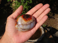 Polished Carnelian Agate Palm Stones  x 12 From Madagascar - Toprock Gemstones and Minerals 