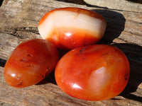 Polished Carnelian Agate Palm Stones  x 12 From Madagascar - Toprock Gemstones and Minerals 