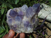 Natural Amethyst Quartz Clusters x 6 From Mapatizya, Zambia - TopRock