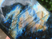 Polished Flashy Labradorite Standing Free Forms  x 3 From Tulear, Madagascar - Toprock Gemstones and Minerals 