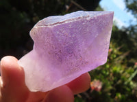 Natural Single Jacaranda Amethyst Crystals  x 12 From Mumbwe, Zambia - Toprock Gemstones and Minerals 