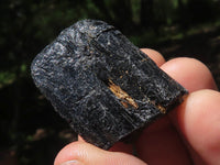 Natural Schorl Black Tourmaline Rough Crystals  x 2 Kg Lot From Zambia - TopRock