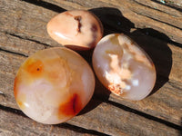 Polished Carnelian Agate Palm Stones  x 12 From Madagascar - Toprock Gemstones and Minerals 