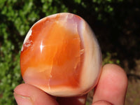 Polished Carnelian Agate Palm Stones  x 12 From Madagascar - Toprock Gemstones and Minerals 