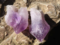 Natural Single Jacaranda Amethyst Crystals  x 12 From Mumbwe, Zambia - Toprock Gemstones and Minerals 