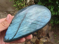 Polished Flashy Labradorite Standing Free Forms  x 3 From Tulear, Madagascar - Toprock Gemstones and Minerals 