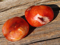 Polished Carnelian Agate Palm Stones  x 12 From Madagascar - Toprock Gemstones and Minerals 