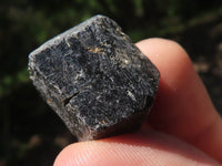 Natural Schorl Black Tourmaline Rough Crystals  x 2 Kg Lot From Zambia - TopRock