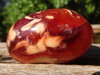 Polished Carnelian Agate Palm Stones  x 12 From Madagascar - Toprock Gemstones and Minerals 