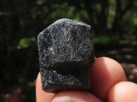 Natural Schorl Black Tourmaline Rough Crystals  x 2 Kg Lot From Zambia - TopRock