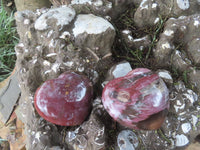 Polished Petrified Red Podocarpus Wood Hearts  x 2 From Madagascar - Toprock Gemstones and Minerals 