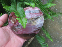 Polished Petrified Red Podocarpus Wood Hearts  x 2 From Madagascar - Toprock Gemstones and Minerals 