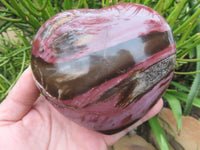 Polished Petrified Red Podocarpus Wood Hearts  x 2 From Madagascar - Toprock Gemstones and Minerals 